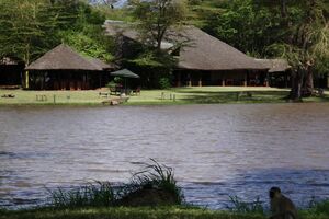 Safari Camp für Safari in Kenia