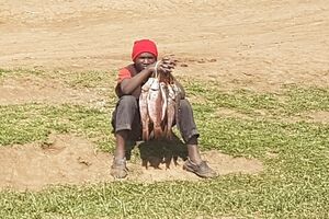 Fischverkäufer - Frische Fische am Straßenrand bei Naiwasha
